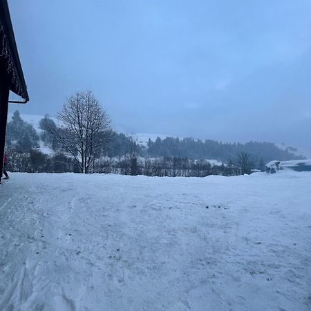 Appartamento Карпатська Криївка Yasinia Esterno foto