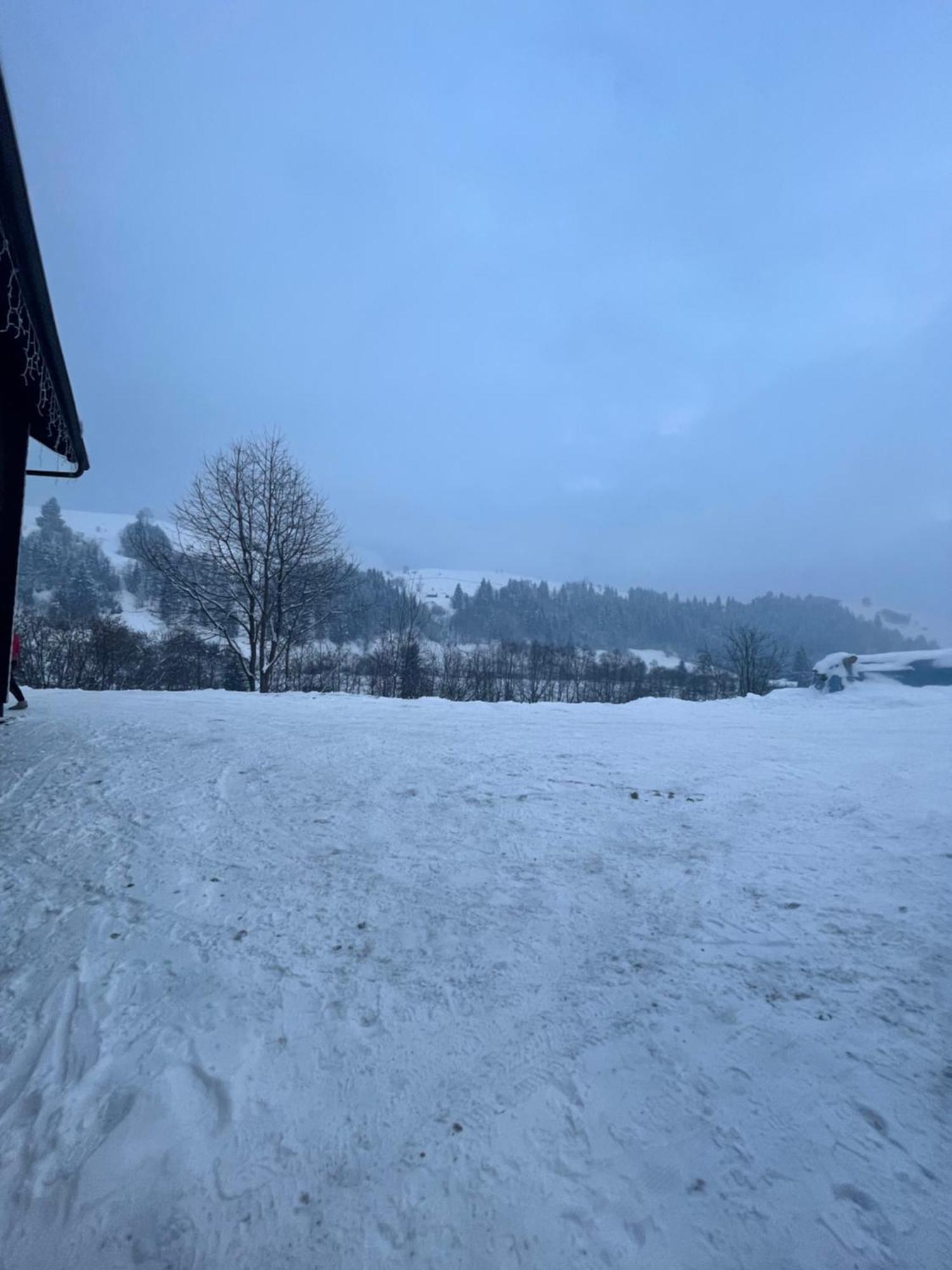Appartamento Карпатська Криївка Yasinia Esterno foto